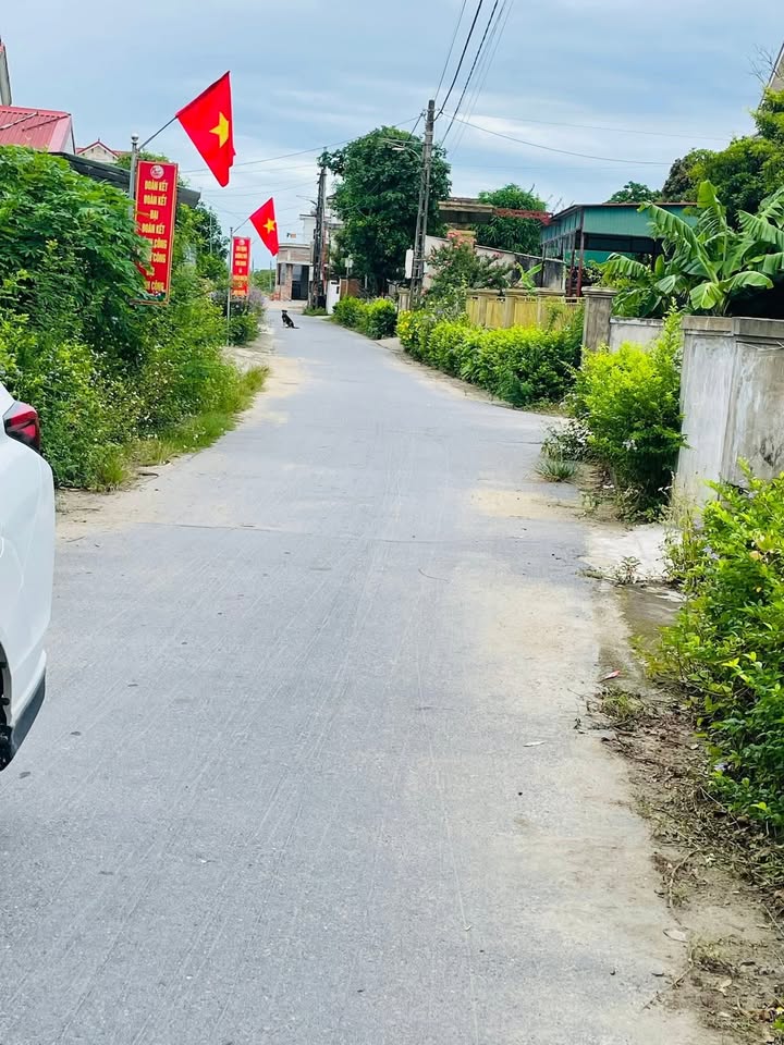 Đất nền Trần Phú Thiên Cầm 230m² giá 2.5 tỷ - Đầu tư sinh lời lý tưởng!