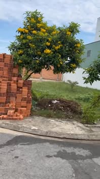 Đất nền Đông Thạnh Hóc Môn 100m² giá 4.85 tỷ - Cơ hội đầu tư tuyệt vời!