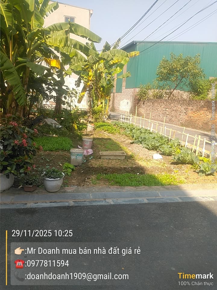 Lô đất đẹp Thụy Lâm 56m² giá 4 tỷ - Sổ đỏ chính chủ, mặt tiền 4.3m!