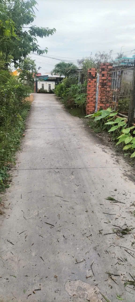 Đất thổ cư 154m² mặt tiền đường GTNT Ấp Bà Chủ, Tân Lân - Giá chỉ 850 triệu!