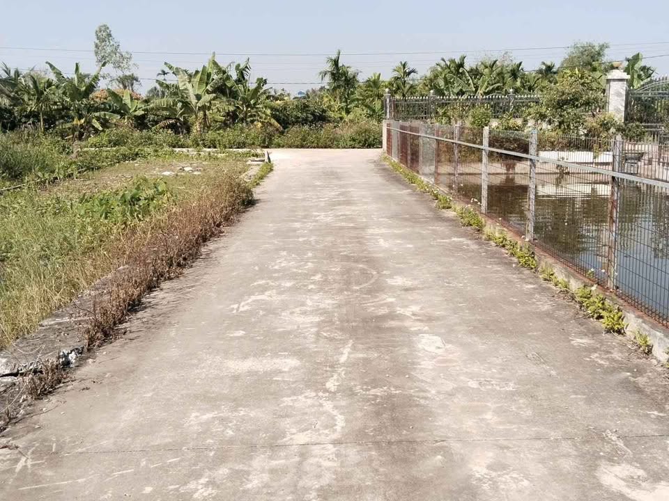 Đất nền thổ cư thôn Ích Trang, An Lão 95m² - Vị trí tiềm năng gần KCN Tràng Duệ!