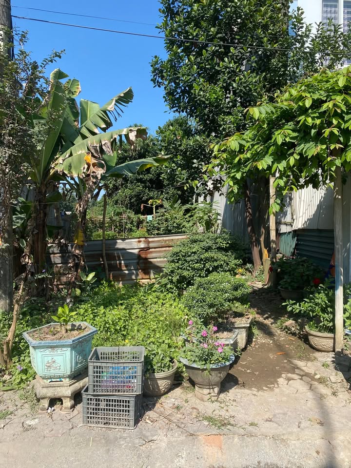 Đất nền tái định cư đường N2, Tằng Loỏng, Bảo Thắng - 100m² giá tốt!