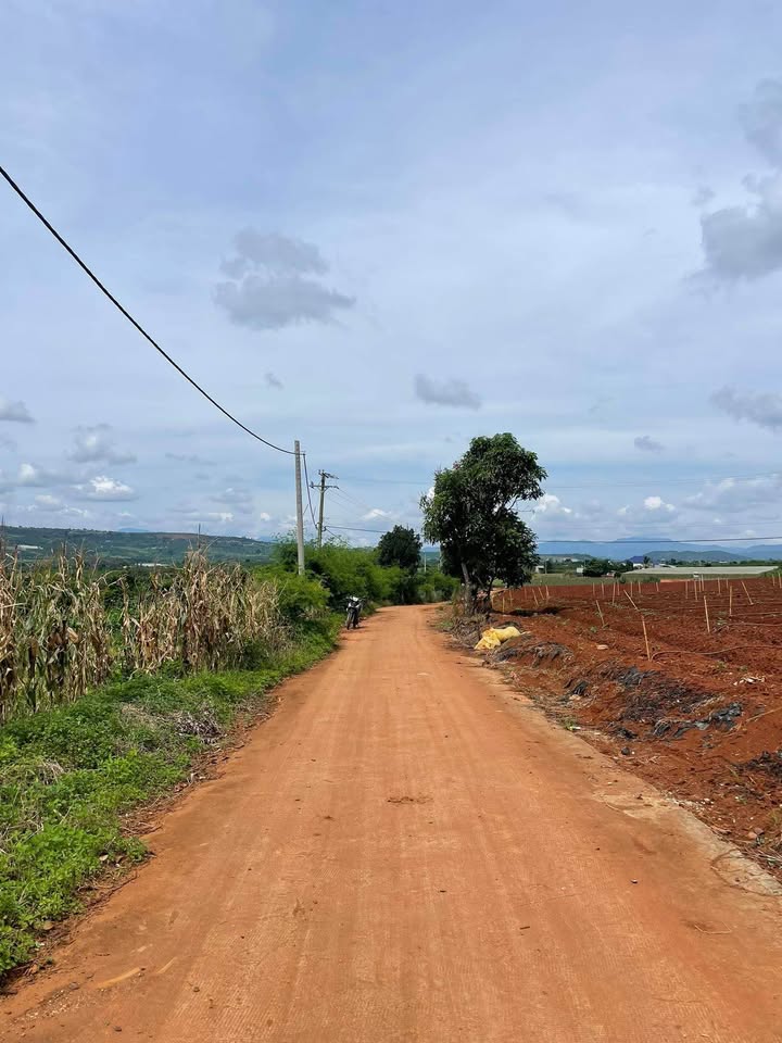 Đất nền Tân Hội, Đức Trọng 160m² giá 490 triệu - Sổ hồng đầy đủ, xây dựng tự do!