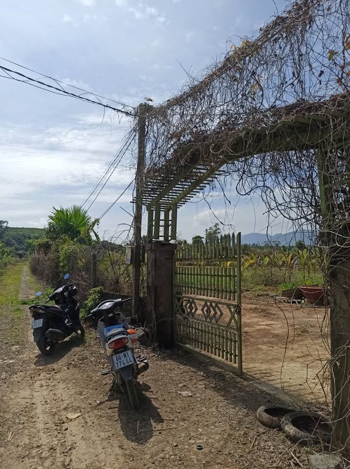 Đất thổ cư 5 xào tại Bảo Lộc 5 tỷ - Chính chủ bán gấp!