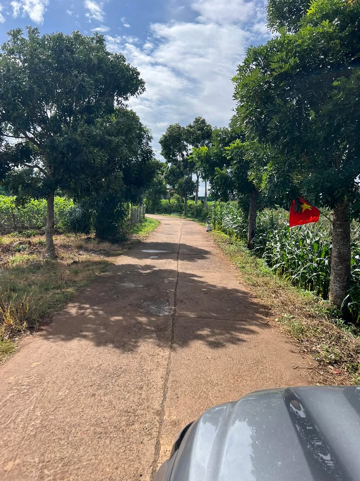 Đất thổ cư Tân Văn Lâm 2400m² giá 2.7 tỷ - Đầu tư sinh lời ngay!