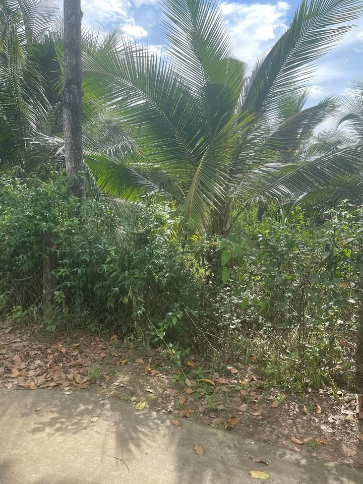 Đất nền Tân Phú, Định Quán 1275m² giá 1.2 tỷ - Cơ hội đầu tư tuyệt vời!