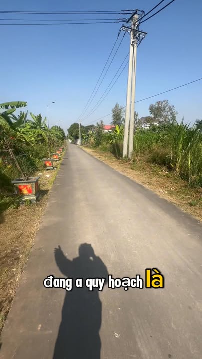 Đất nền Xuân Phú, Xuân Trường 127.5m² chỉ 1 tỷ - Cơ hội đầu tư tuyệt vời!