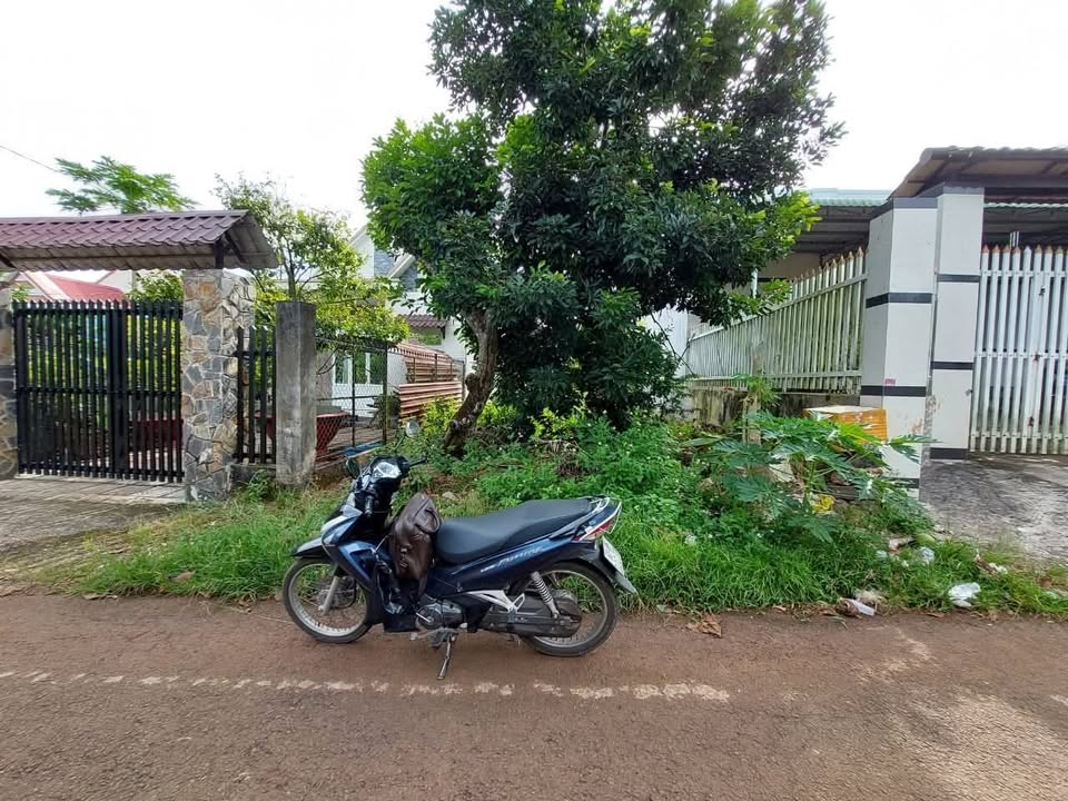 Đất mặt tiền đường nhựa Xuân Tân 240m² giá 1.4 tỷ - Cơ hội đầu tư vàng!