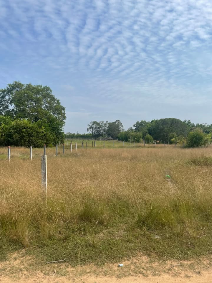 Đất biển Tân Bình, La Gi 1000m² giá 2.2 tỷ - Đầu tư sinh lời nhanh!