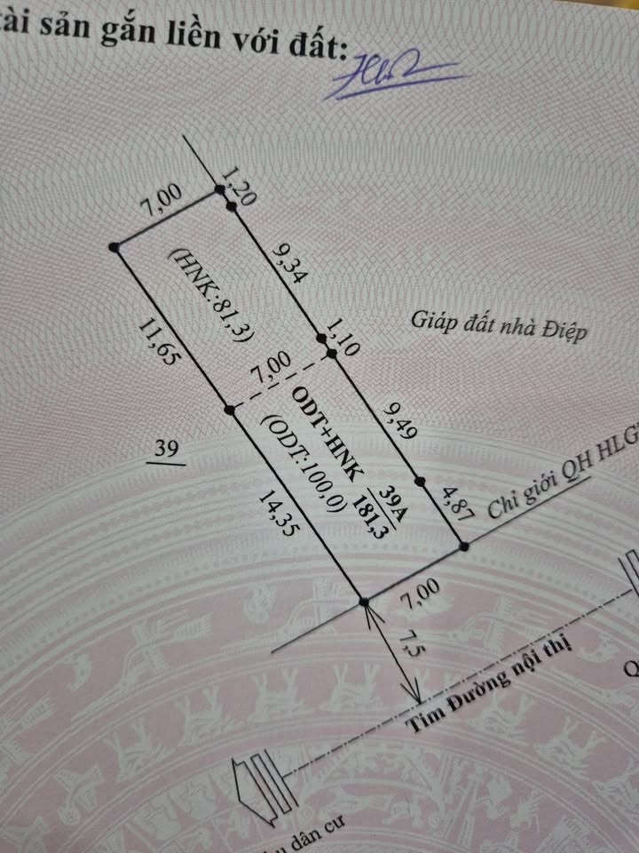 Đất nền đẹp Mộc Châu 100m² giá 600 triệu - Sẵn sàng xây dựng homestay!