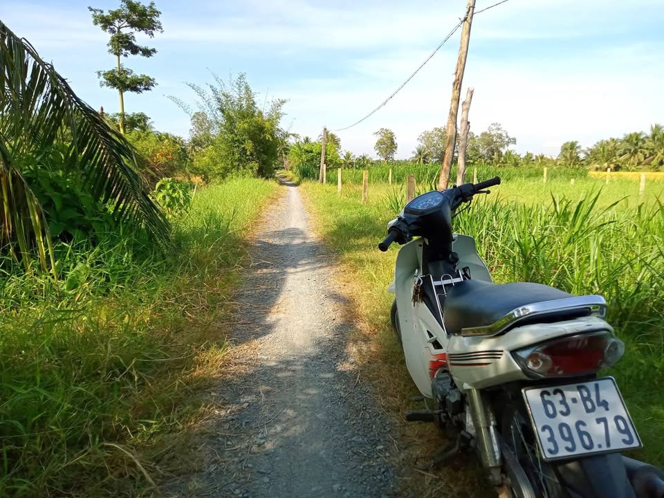 Đất nền 150m² tại Ấp Bình Đông, Gò Công Tây - Giá chỉ 270 triệu