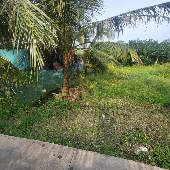 Đất nền Tân Mỹ Chánh, Mỹ Tho 76m² giá 300 triệu - Sổ hồng chính chủ