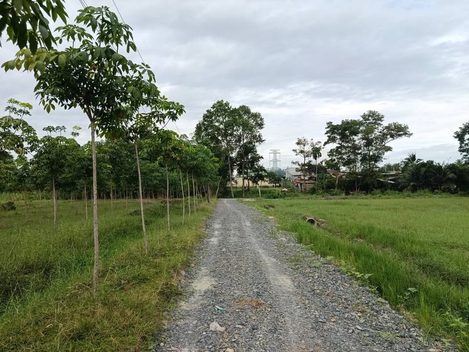 Đất LUC phường Gia Lộc - Tây Ninh 500m² giá 560 triệu - Đầu tư sinh lời ngay!