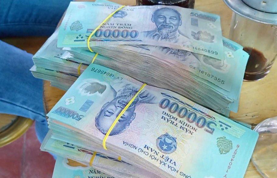 Đất nền 100m² khu 3 Hoàng Hoa, Tam Dương - Giá đầu tư F0 hấp dẫn!