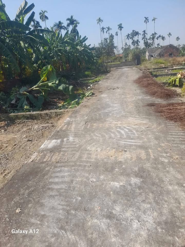 Đất nền Quảng Thanh 73m² giá chỉ 495 triệu - Lô góc ô tô vào tận nơi!