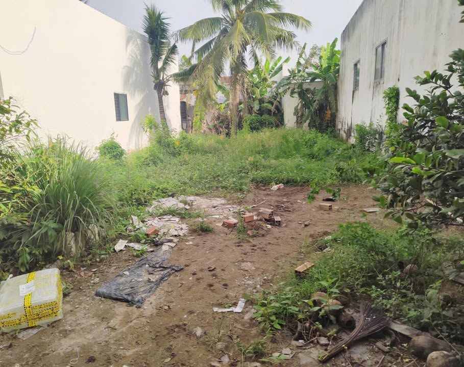 Đất Phú Khương Bến Tre 102,1m² giá 800 triệu - Sổ hồng chính chủ, thổ cư 100%!