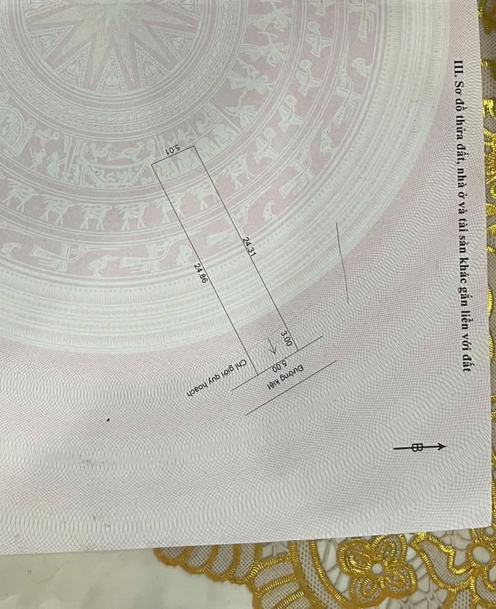 Đất nền Hòa Quý Đà Nẵng 122,9m² giá 2,65 tỷ - Đầu tư sinh lời ngay!