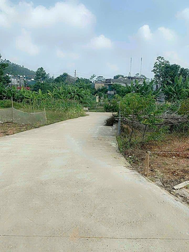 Đất thổ cư Ỷ La, Tuyên Quang 200m² giá 2 tỷ - Đầu tư sinh lời hấp dẫn!