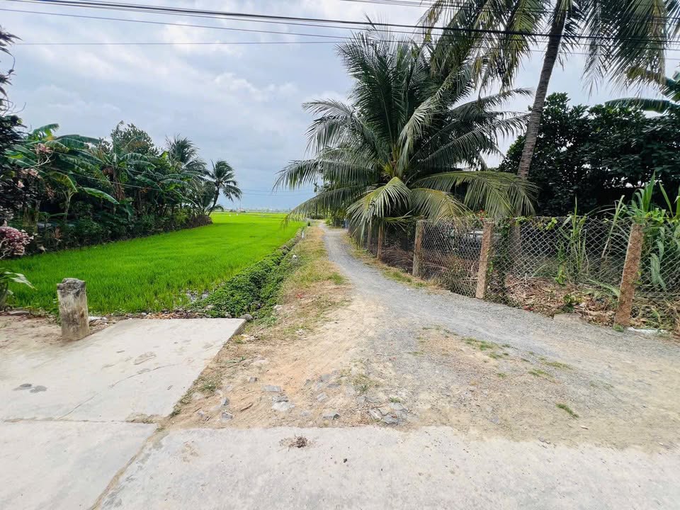 Đất nền Ninh Quang, Ninh Hòa 112m² giá 350 triệu - Cơ hội đầu tư tốt!