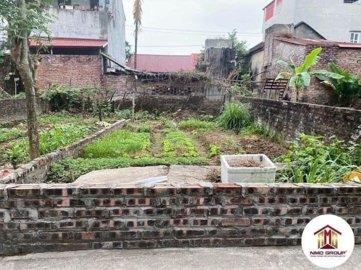 Đất thổ cư 43m² Thụy Hà, Bắc Hồng, Đông Anh - Chỉ 1 tỷ, sổ đỏ chính chủ!