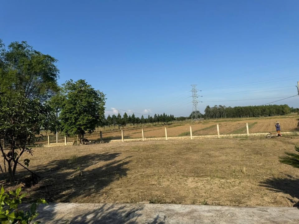 Đất nền Hương Lam, Hòa Khương 142.9m² giá 1.2 tỷ - Cơ hội đầu tư hấp dẫn!