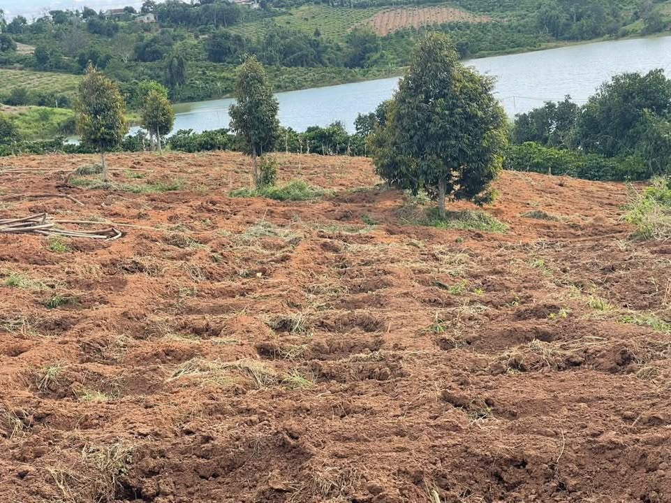 Đất thổ cư thôn 4, xã Hà Mòn, huyện Đăk Hà – 5000m² – Giá thỏa thuận, đầu tư sinh lời!