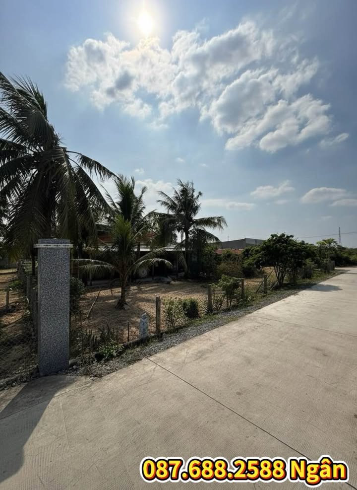 Đất mặt tiền đường bê tông 7m tại Tân An Hội 155m² giá 1.053 tỷ - Đầu tư sinh lời ngay!