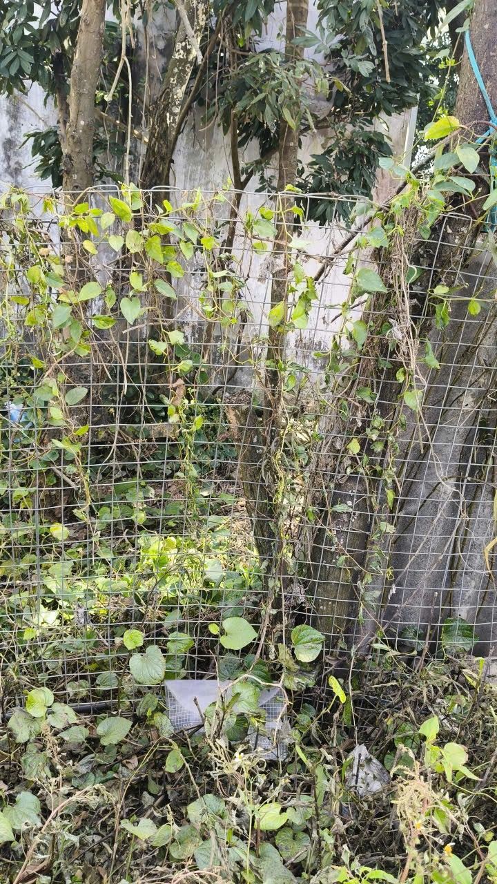 Đất nền Tả Thanh Oai 50m² - Giá đầu tư hấp dẫn, cơ hội sinh lời!