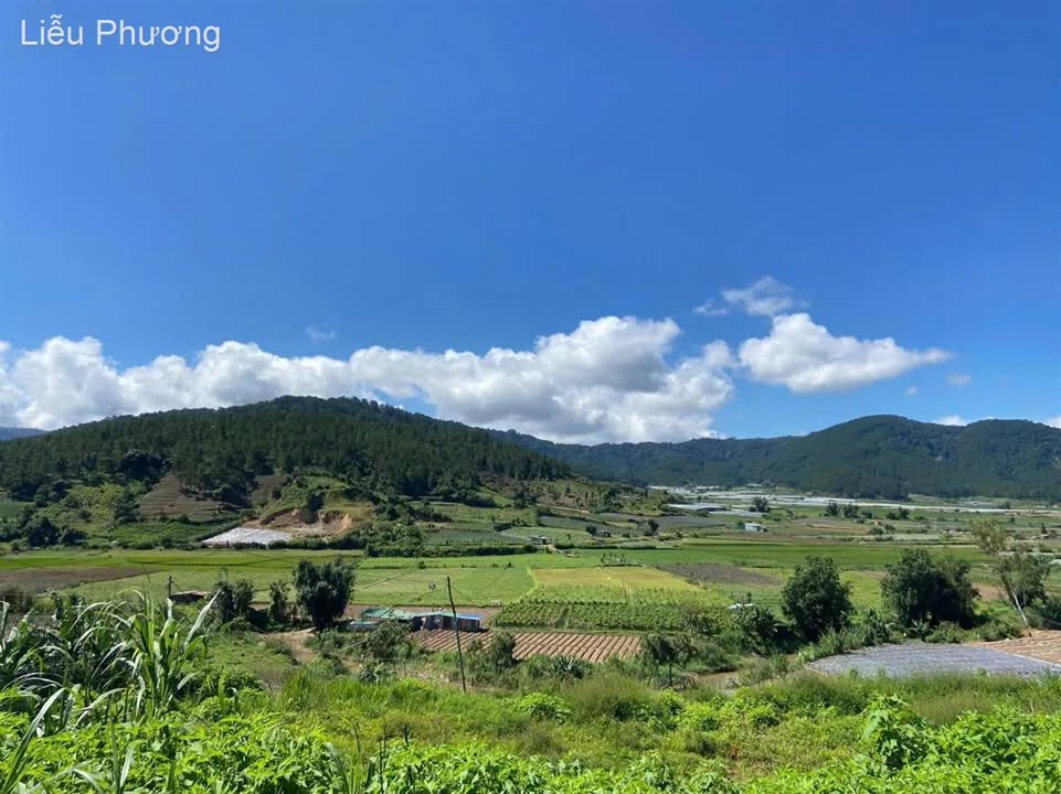 Đất sổ riêng Quảng Lập 303m² giá chỉ 520 triệu - Đầu tư sinh lời cao!