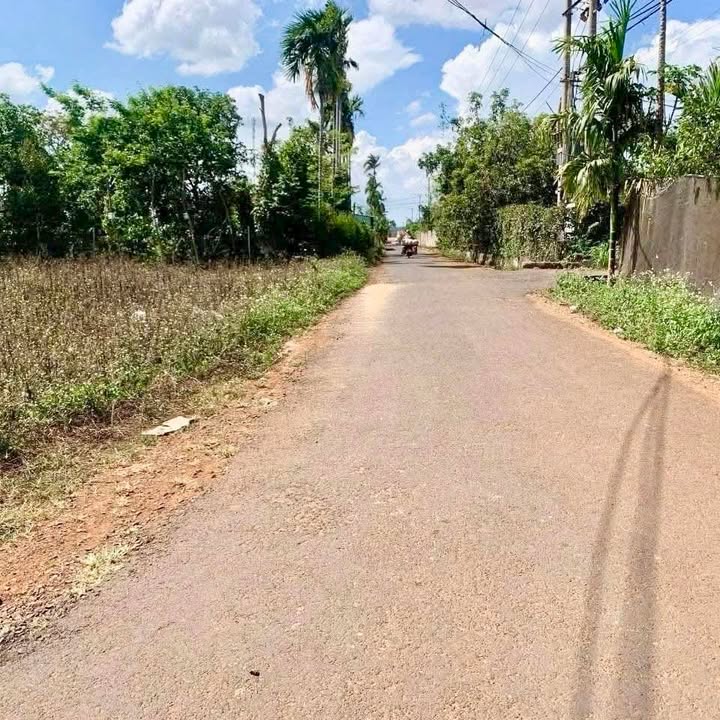 Đất nền 22B Đạt Lý - Tân An, 800m² giá 2.1 tỷ - Đầu tư sinh lời tuyệt vời!