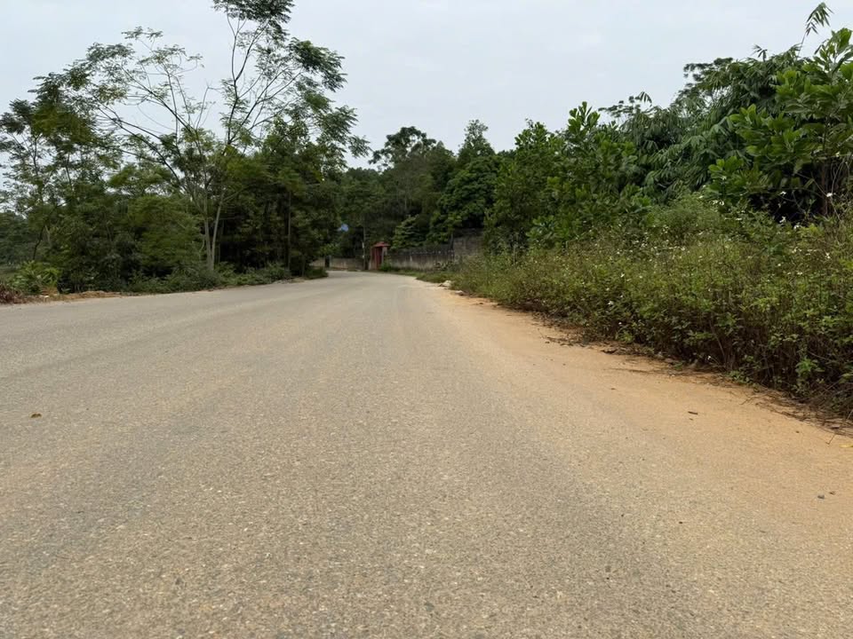 Đất nền Phong Châu, Phú Thọ 102m² giá 1 tỷ - Sổ đỏ sang tên trong ngày!