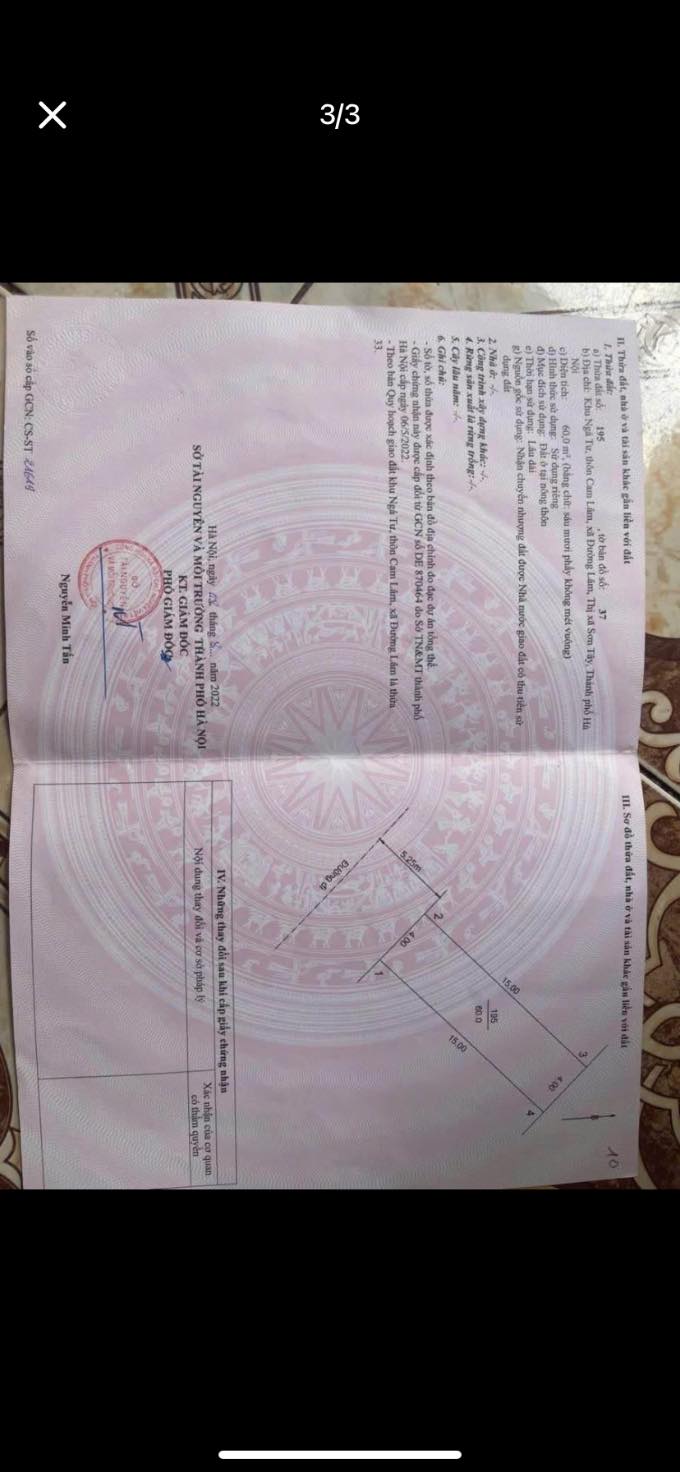 Đất đẹp Đường Lâm – Sơn Tây 60m² giá chỉ 1 tỷ - Đầu tư sinh lời lý tưởng!