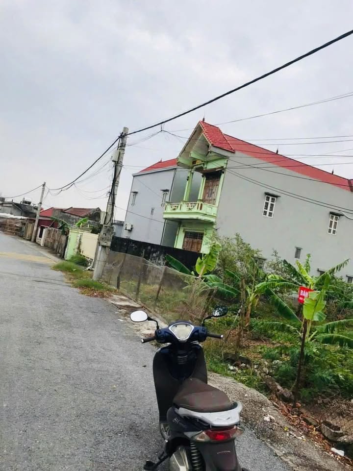 Đất thổ cư 100m² tại xã Quỹ Nhất, Nghĩa Hưng - Giá chỉ 8xx triệu, mặt đường 7m!