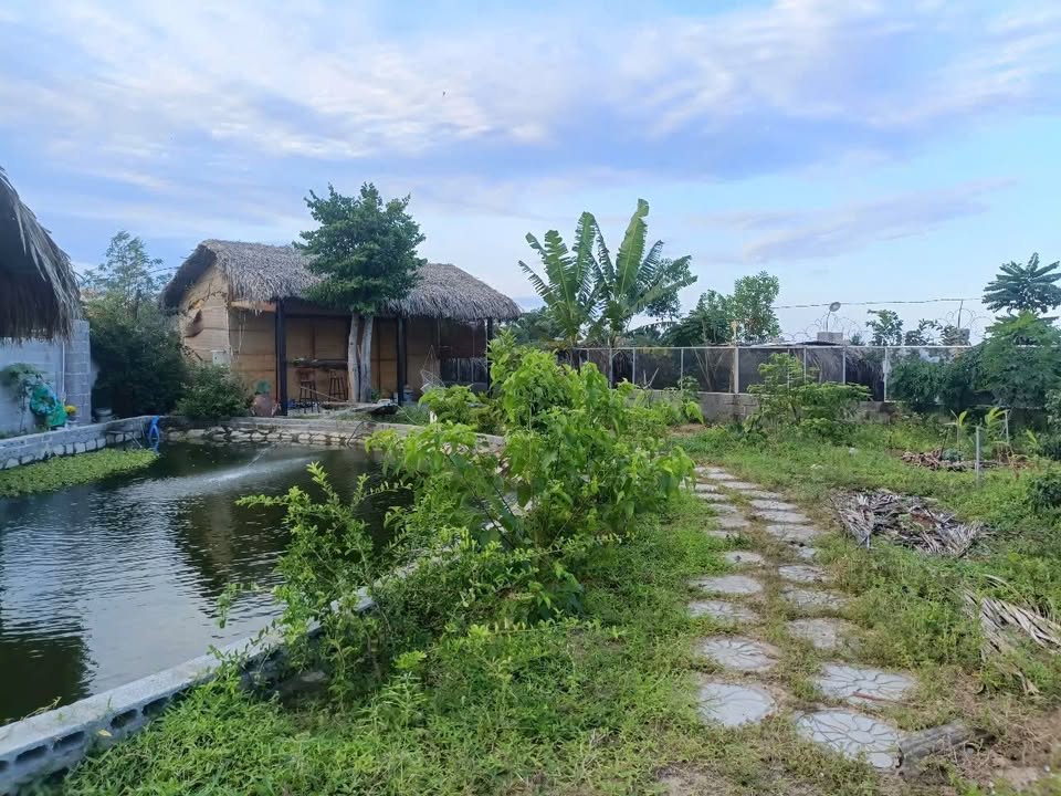 Đất nền Cam Thành Nam 663m² giá chỉ 960 triệu - Sổ đỏ chính chủ