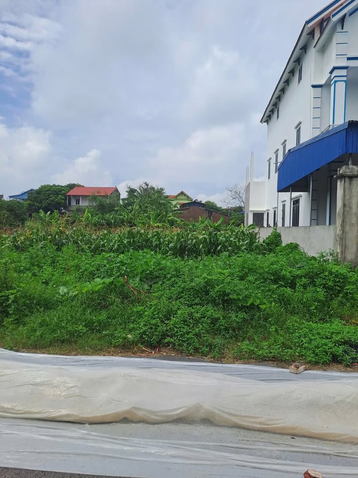 Đất nền Hải Yến - Hải Triều 172m² giá chỉ 1.863 tỷ - Cơ hội đầu tư tuyệt vời!