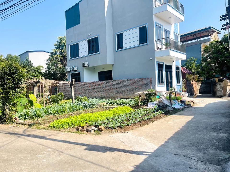 Đất nền Thanh Miếu, Việt Trì 81.5m² giá 2 tỷ - Vị trí đắc địa, dân cư đông đúc!