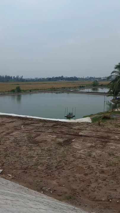 Đất ao 8000m² tại xã Nam Cường, Tiền Hải - Giá cả thỏa thuận, đẹp và sạch sẽ!