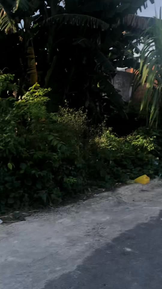 Đất nền 300m² tại Phước Vĩnh An, Củ Chi - Giá 2.85 tỷ, Sổ riêng chính chủ!