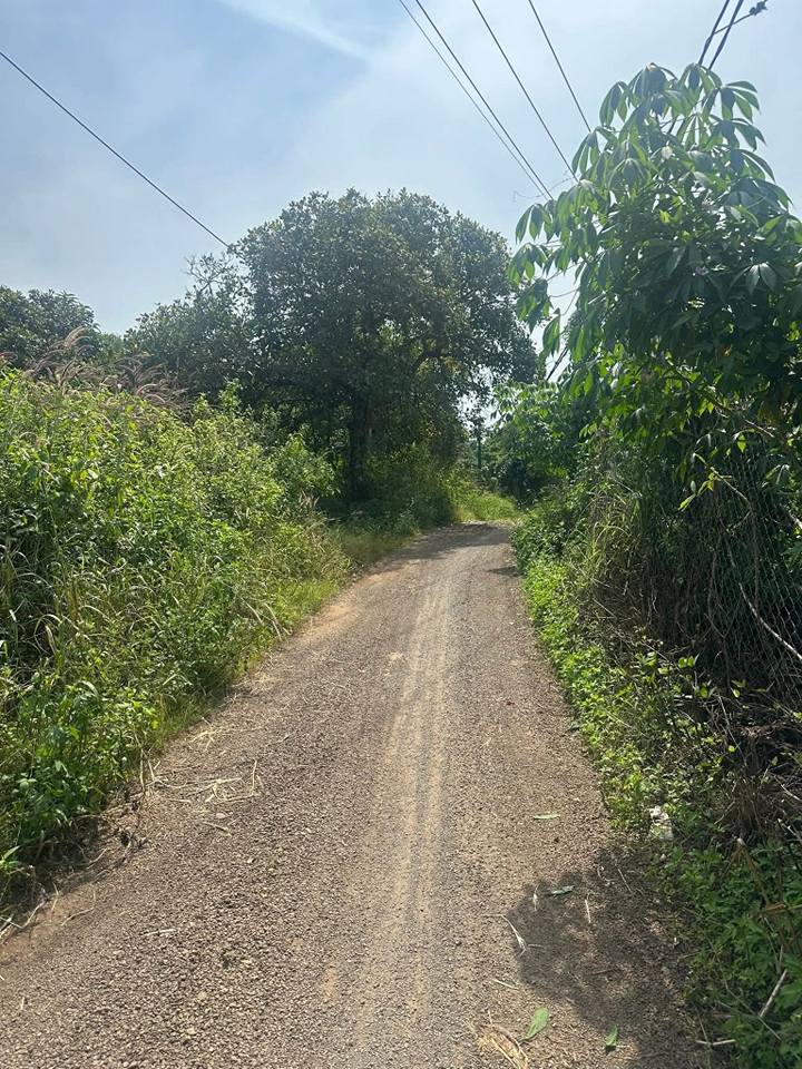 Đất nền lốc 6 lô sào tại Xã Phú Hoà, Đồng Nai - Giá chỉ 500 triệu/lô!