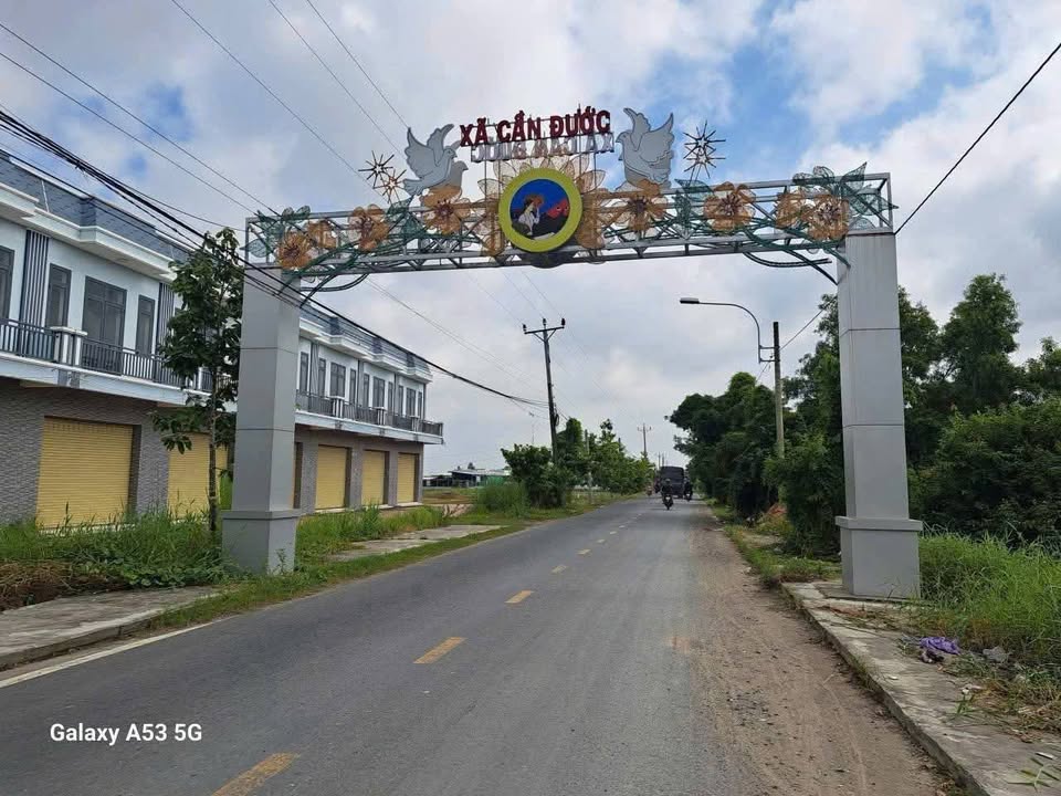 Đất lúa 3100m² xã Tân Ân, Cần Đước chỉ 1.55 tỷ - Sổ hồng chính chủ!