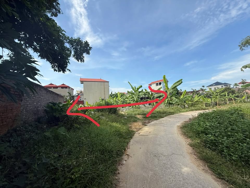 Đất thổ cư Đa Mai, Tân Yên 342m² giá 1 tỷ - Đường ô tô vào tận nơi!