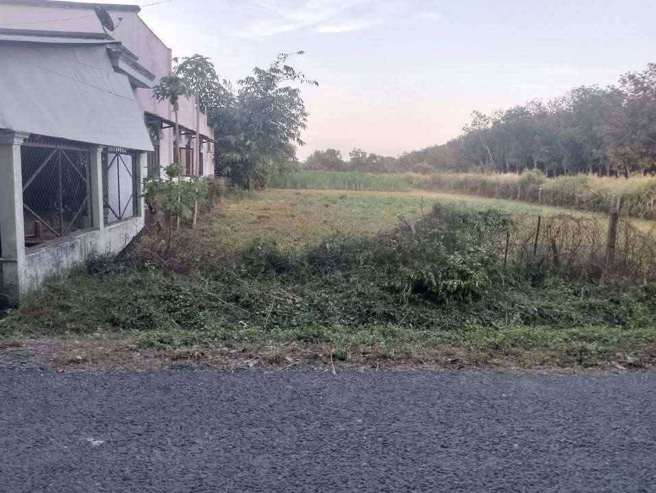 Đất mặt tiền Võ Thị Mè, An Nhơn Tây, Củ Chi 2812m² giá 7.5 tỷ - Cơ hội đầu tư hấp dẫn!