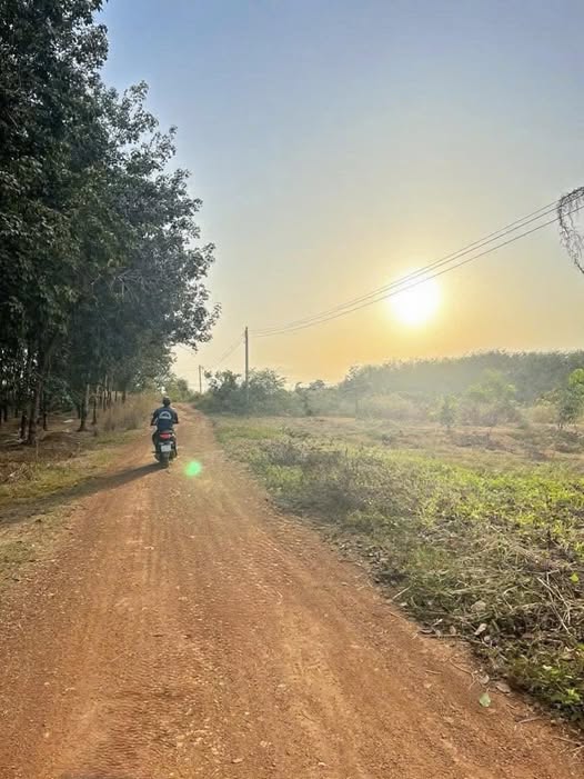 Đất thổ cư 200m² tại Đồng Tiến, Đồng Phú - Giá chỉ 420 triệu!