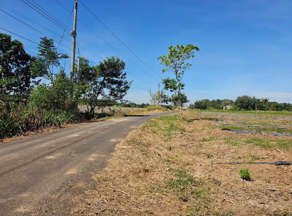 Đất Farm 10,000m² tại Ấp 2, Xã Thanh Hòa, Huyện Bù Đốp - Giá chỉ 2 tỷ!