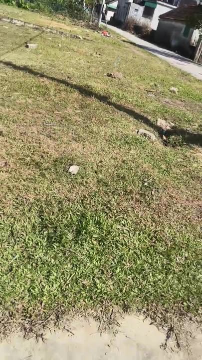 Đất nền khu phố 4 Nam Xuân 290m² - Cơ hội đầu tư hiếm có!