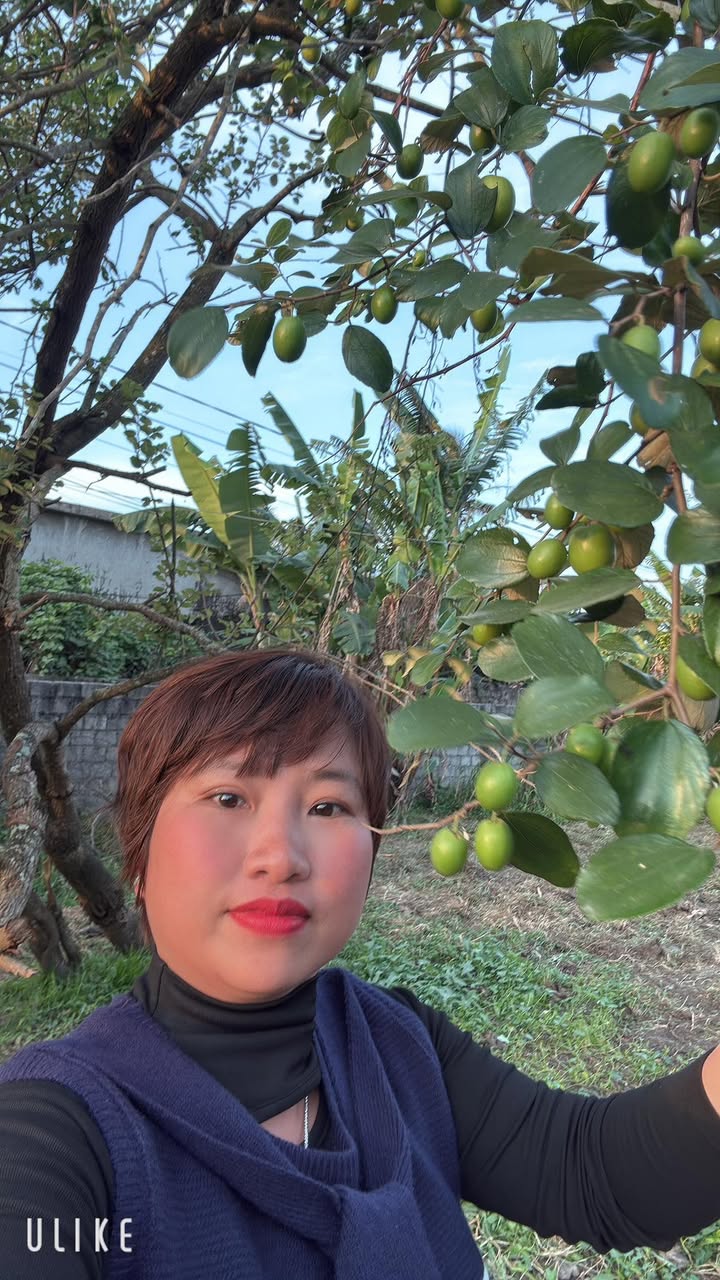 Đất nền 1000m² tại Hải Hòa, Nghi Sơn - Mặt tiền 32m giá 6 tỷ - Đầu tư sinh lời!