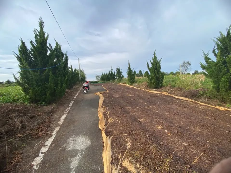 Đất nền Lộc An Bảo Lâm 200m² giá 700 triệu - Lô góc 2 mặt tiền đường nhựa