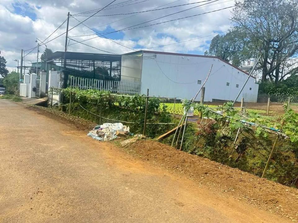 Nhà Bán Hẻm 115 Lam Sơn Bảo Lộc 175m² giá 1.45 tỷ - Thế đất cao ráo, view thoáng đẹp!