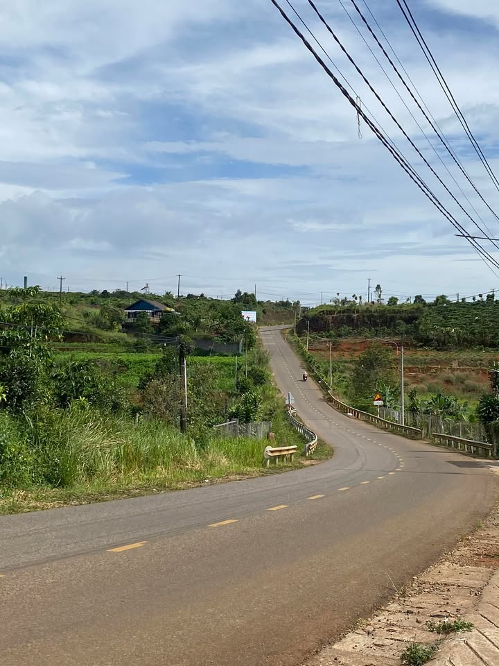 Đất Mặt Đường Trường Trinh, Bảo Lộc 973m² giá 3,4 tỷ - Đầu tư sinh lời ngay!