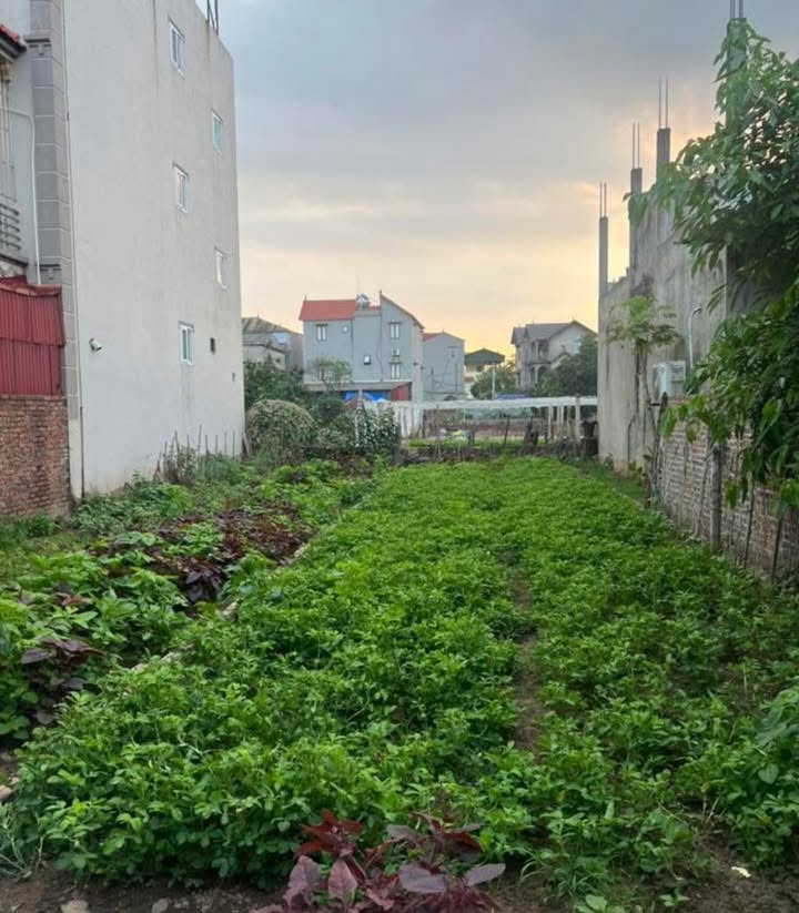 Đất Kim Sơn Gia Lâm 42m² giá chỉ 2 tỷ - Mặt tiền đẹp, vị trí thuận lợi!